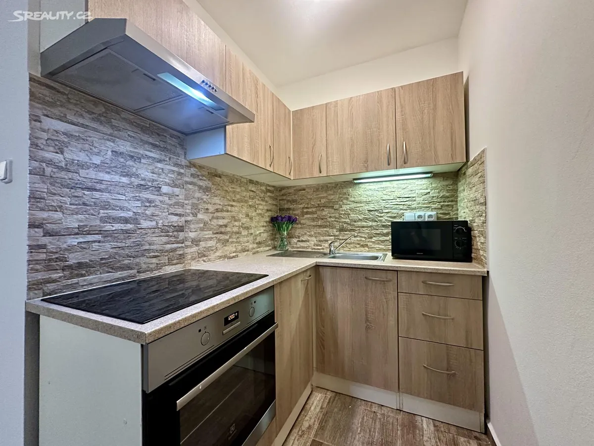 Pronájem bytu 2+kk 43 m², Mánesova