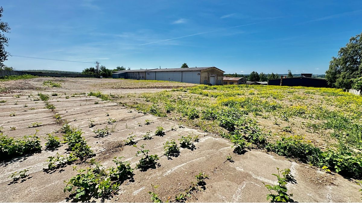 Prodej komerčního pozemku 5000 m² – fotografie 3
