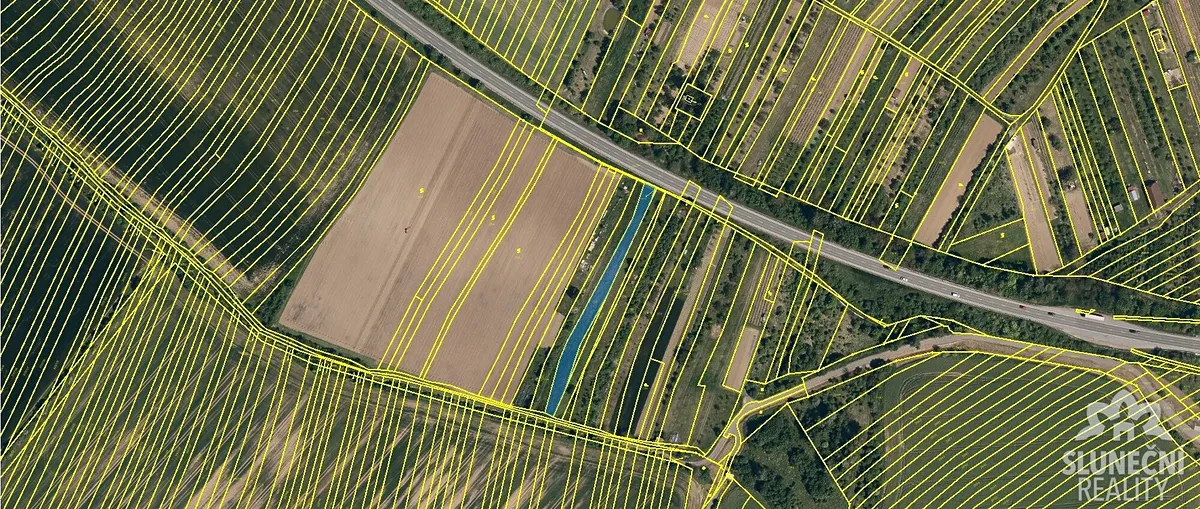 Prodej sadu, vinice 1664 m²