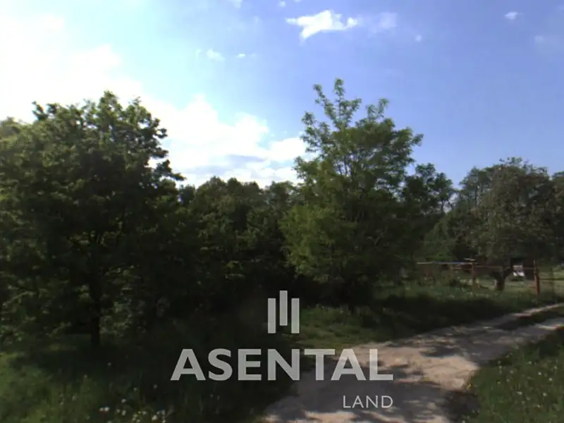 Prodej pozemku 9533 m², Rychvald – náhled fotky 3