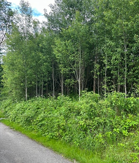 Grundstück zum Kauf, 389 m² (4 von 9)