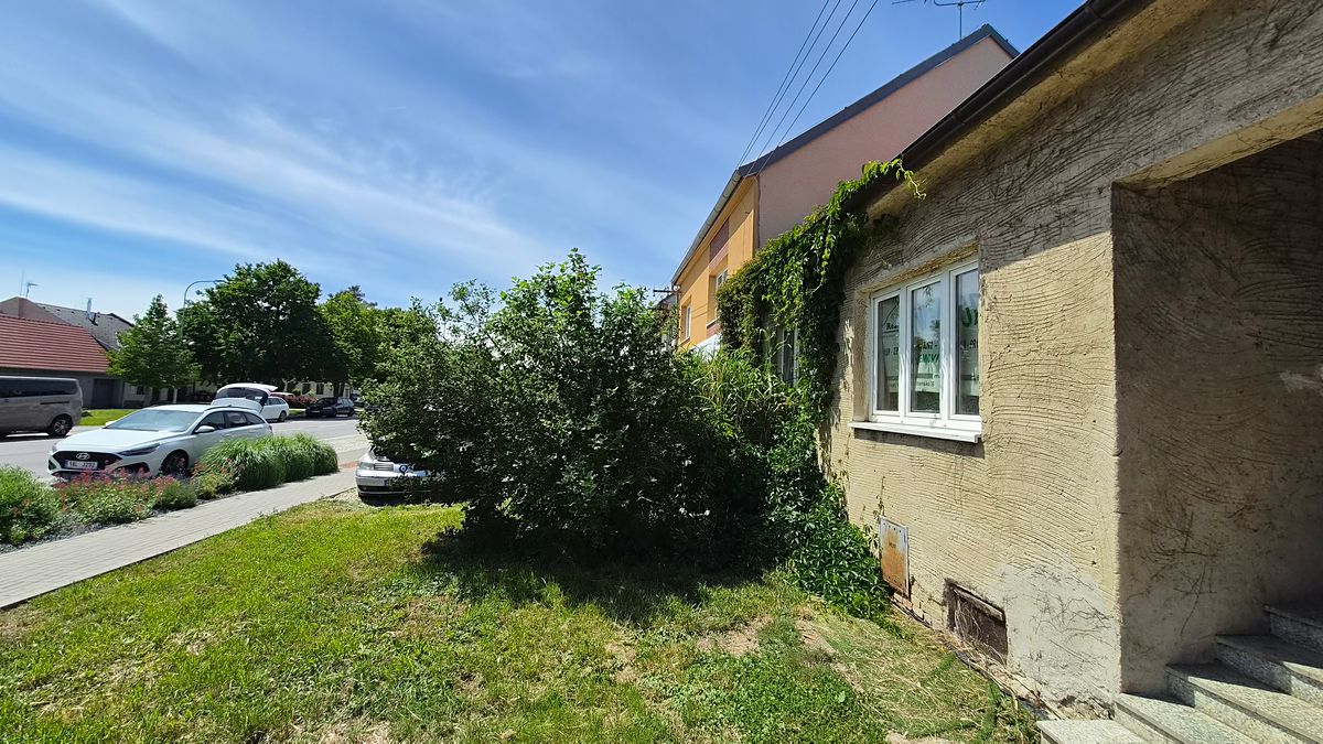 Prodej rodinného domu 350 m², pozemek 784 m² – fotografie 4