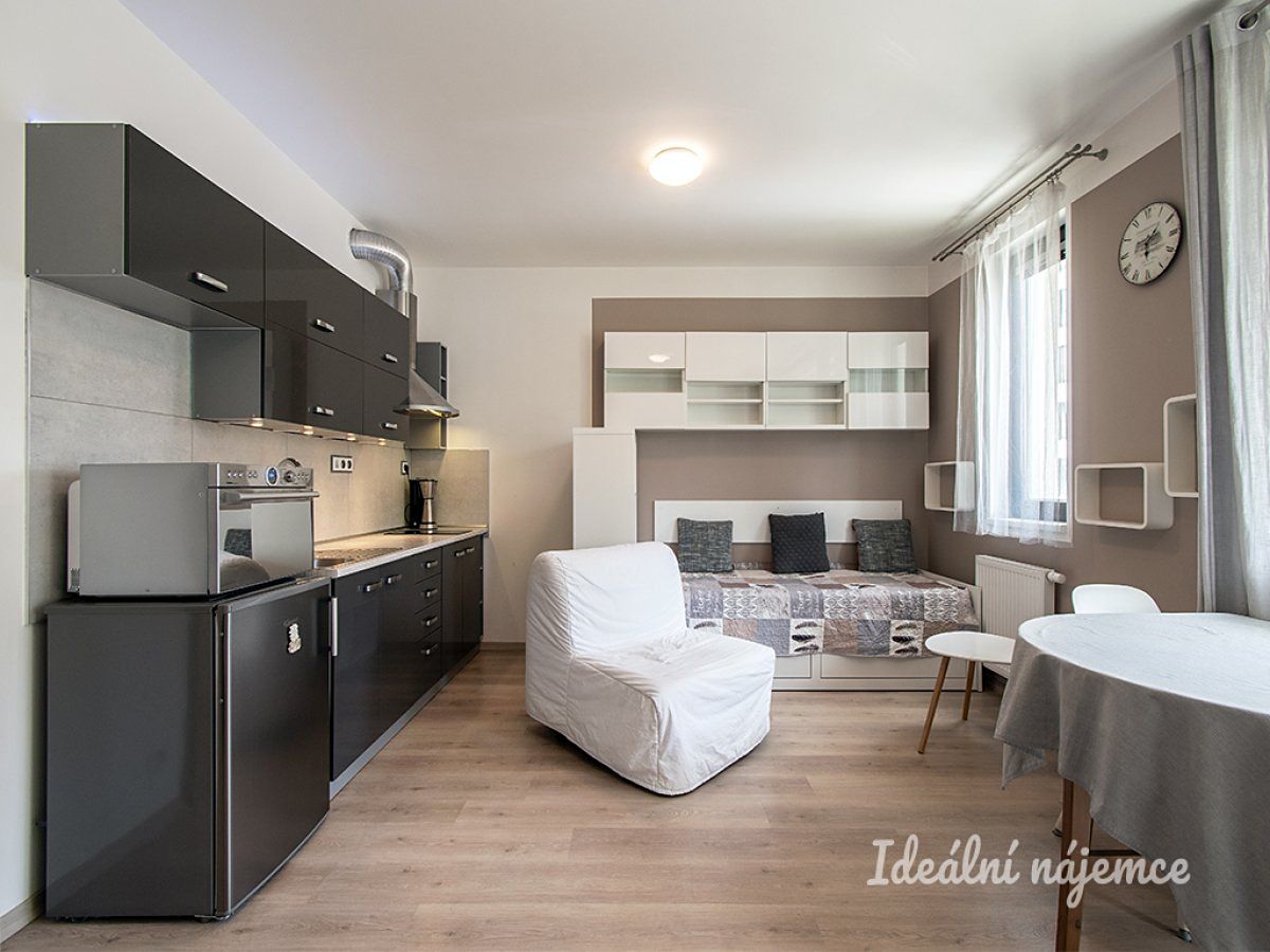 Pronájem bytu 1+kk 31 m²