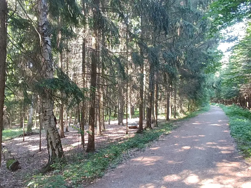 Prodej chaty 40 m², pozemek 417 m², Choceň – náhled fotky 3