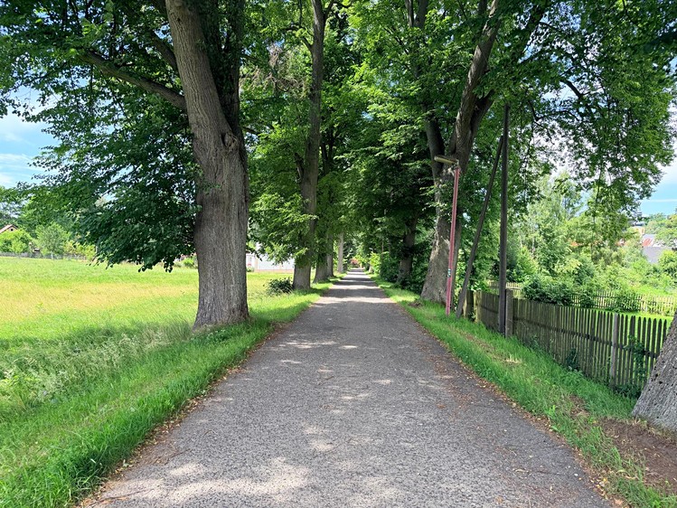Grundstück zum Kauf, 1.963 m² (5 von 9)