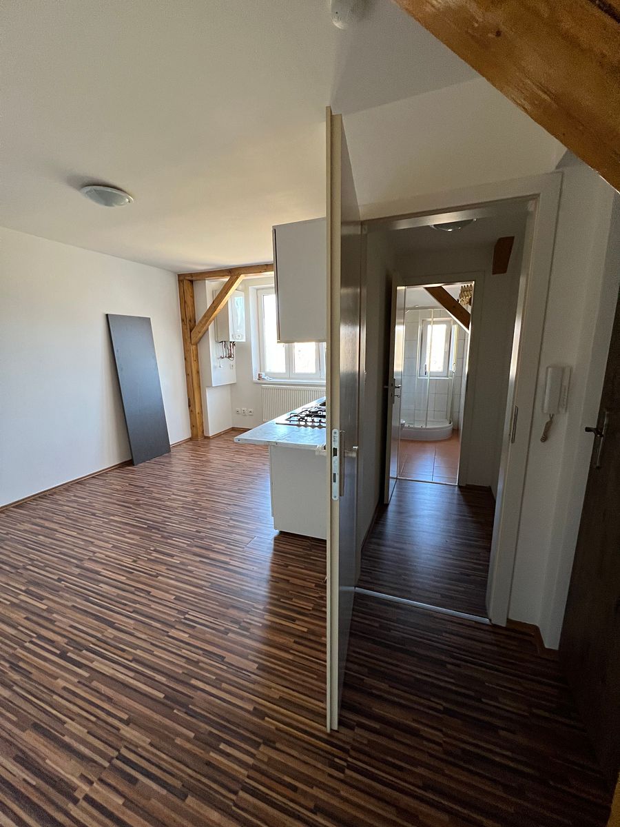 Pronájem bytu 1+kk 21 m² – fotografie 4