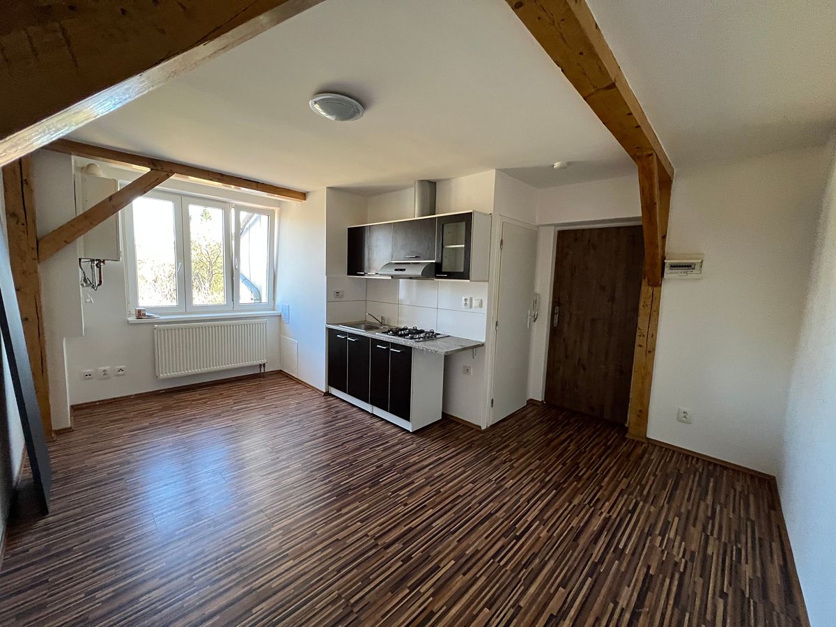 Pronájem bytu 1+kk 21 m²