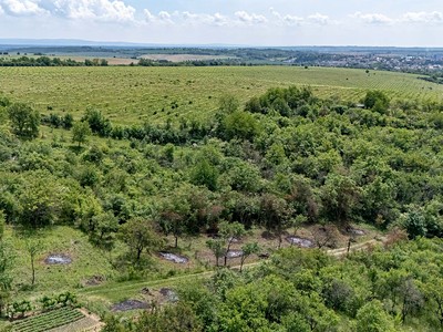 Prodej  zahrady 1 007 m²