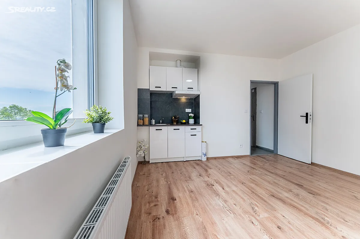 Pronájem bytu 1+kk 22 m², Praha