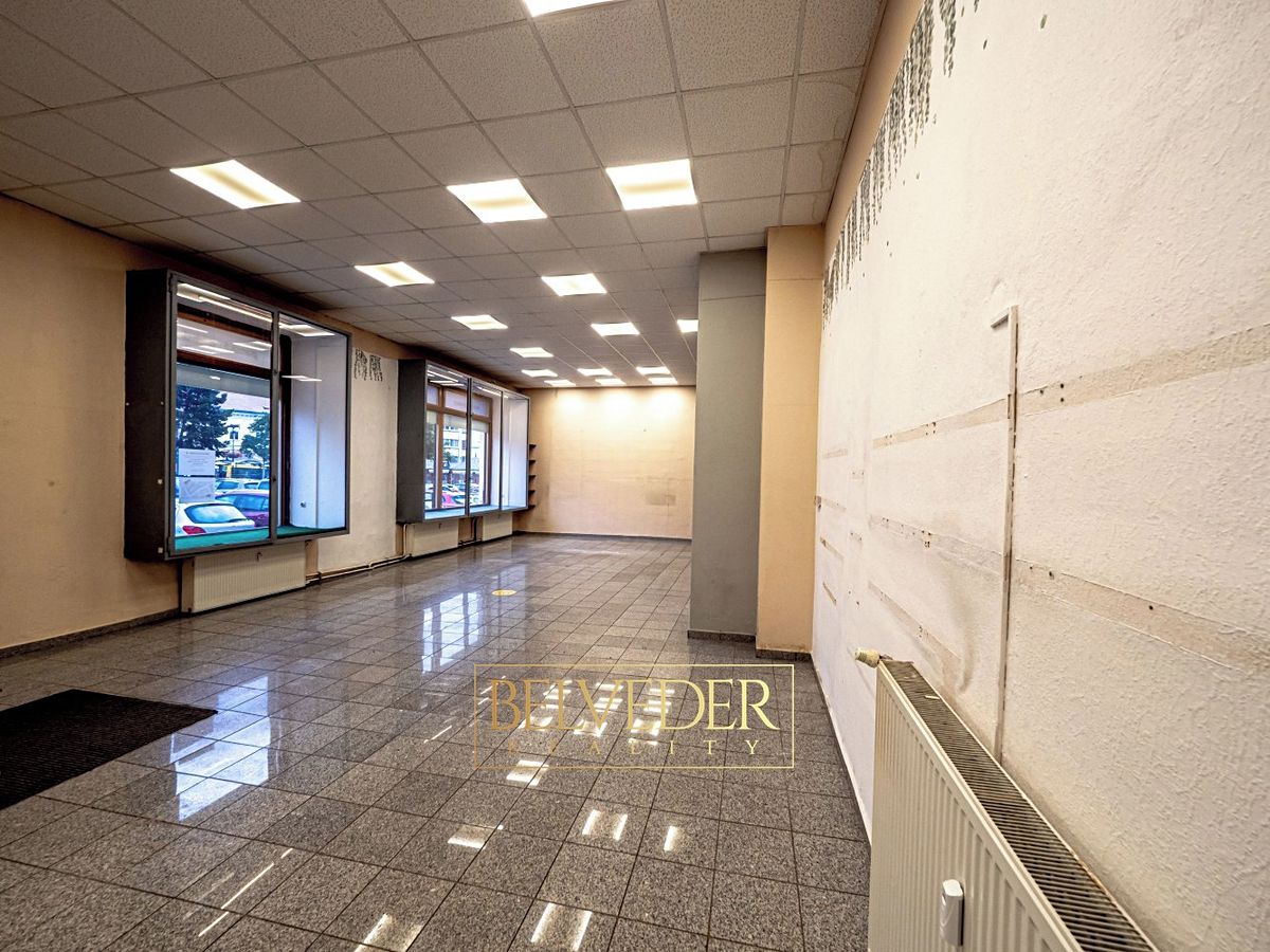 Pronájem obchodního prostoru 190 m² – fotografie 4