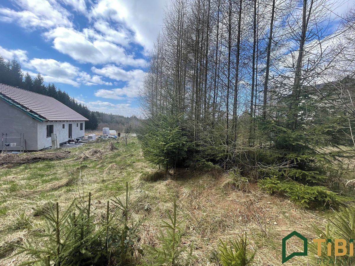 Prodej stavebního pozemku 1753 m² – fotografie 3