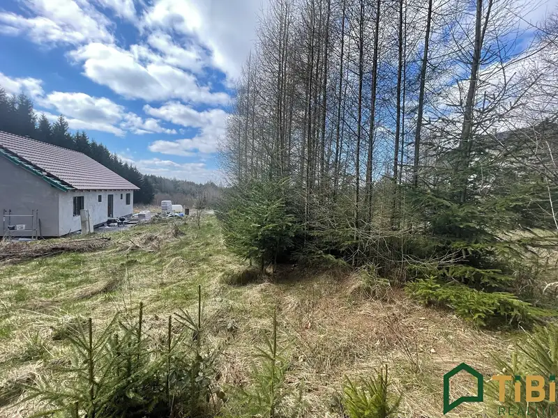 Prodej stavebního pozemku 1753 m², Gruna – náhled fotky 3