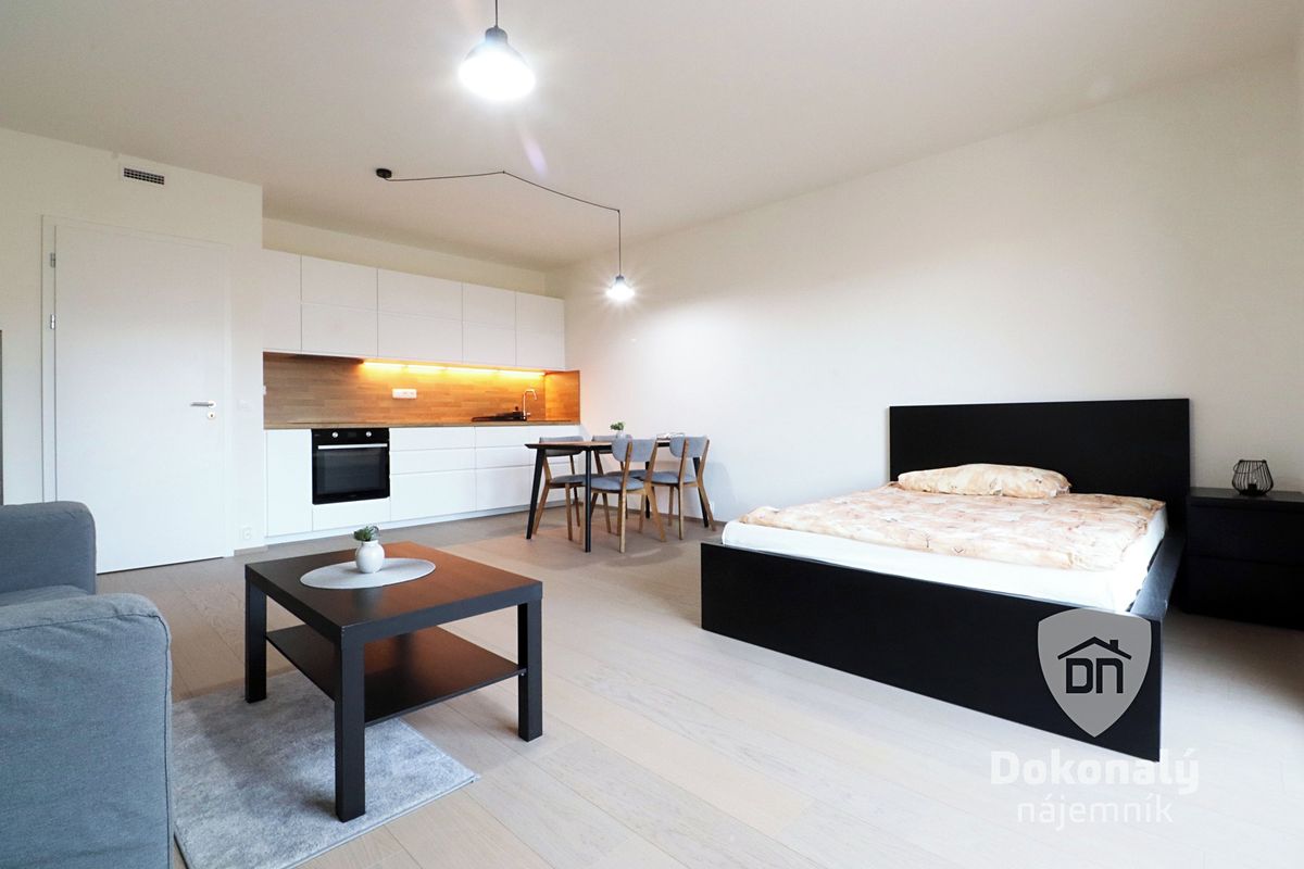 Pronájem bytu 1+kk 40 m²
