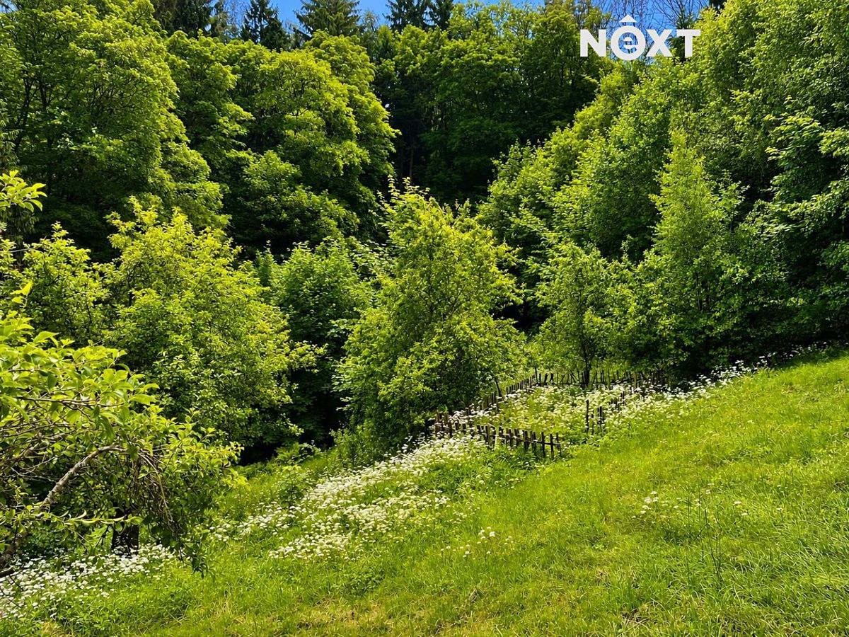 Prodej rodinného domu 150 m², pozemek 5154 m² – fotografie 2