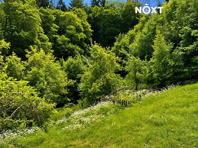 Prodej domu, 150 m² (2 z 15)