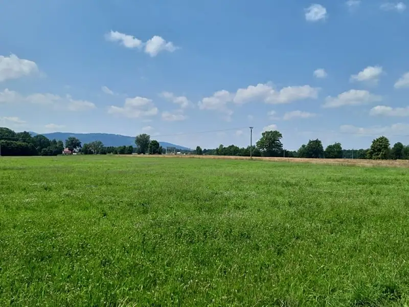 Prodej pole 7527 m², Ropice – náhled fotky 3