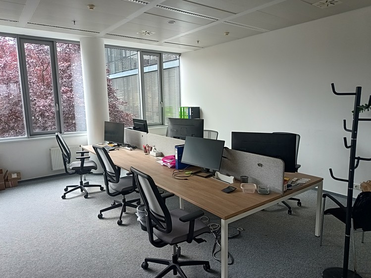 Pronájem komerčního prostoru, 375 m² (6 z 6)