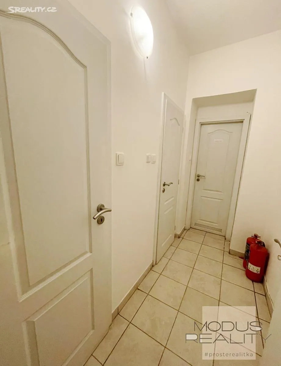 Pronájem obchodního prostoru 40 m² – pohled 6