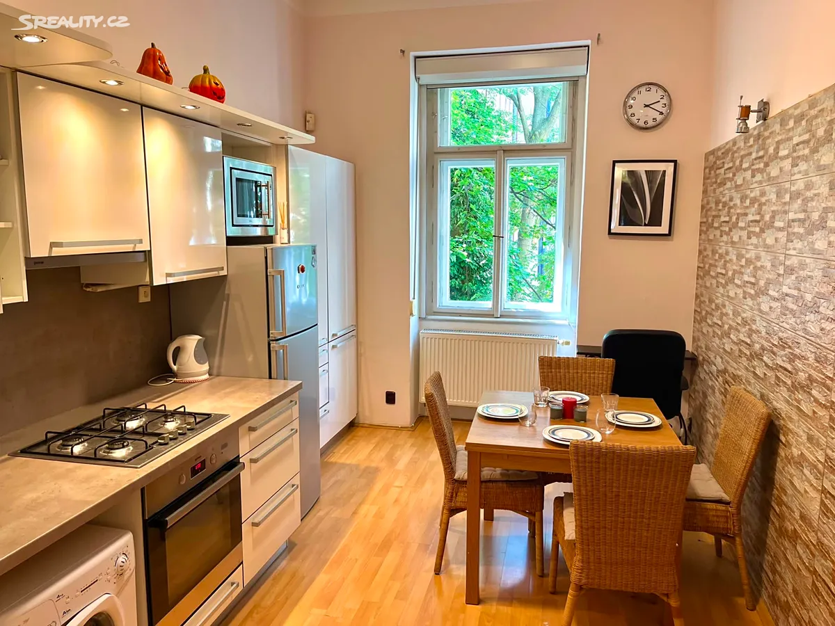 Pronájem bytu 1+1 55 m² – pohled 2