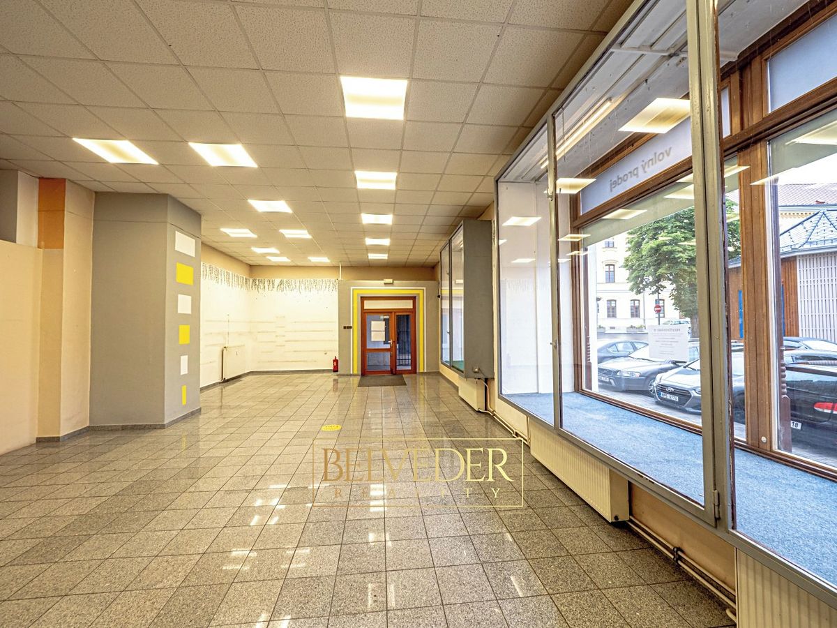 Pronájem obchodního prostoru 190 m² – fotografie 5