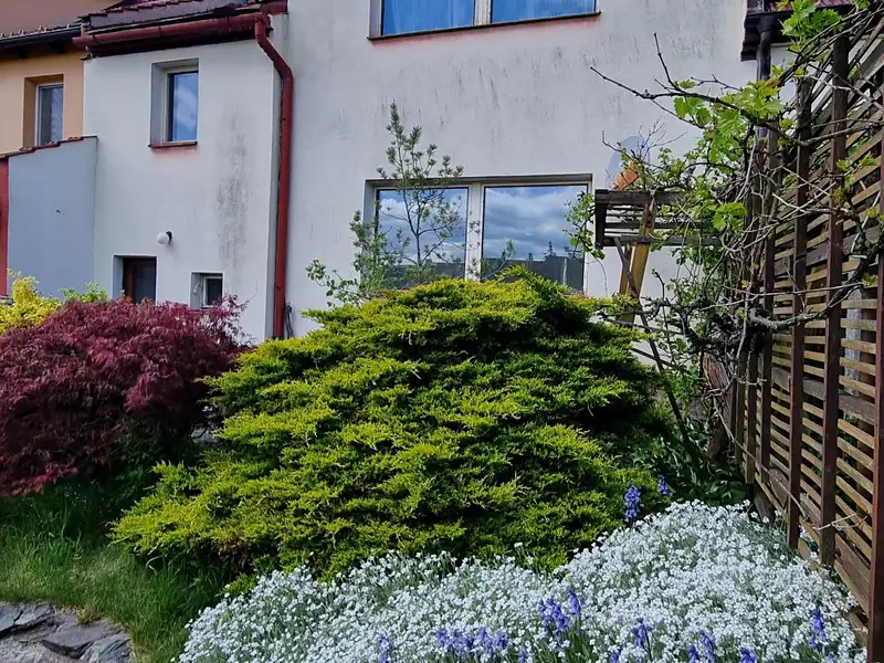 Prodej rodinného domu 100 m², pozemek 312 m², Nový Jičín – náhled fotky 3