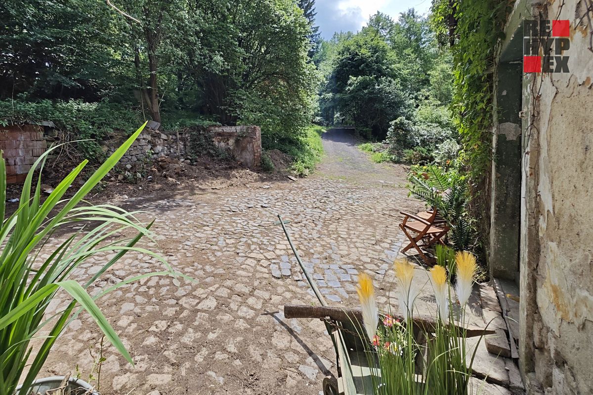 Prodej rodinného domu 250 m², pozemek 8711 m² – fotografie 3