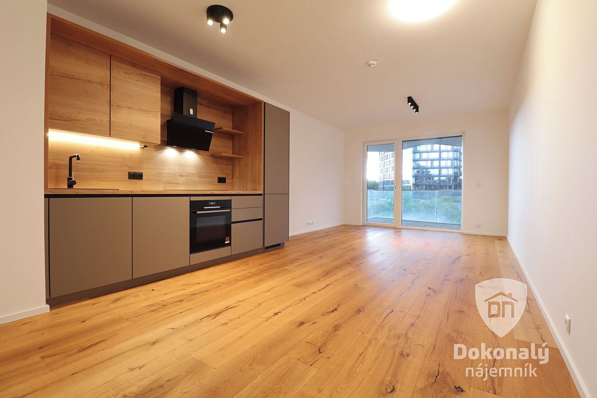 Pronájem bytu 1+kk 45 m²