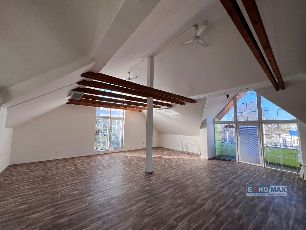 Pronájem bytu 2+1 100 m²