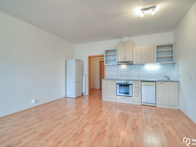 Pronájem bytu 1+kk 42 m²