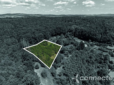 Ділянка на продаж, 3 131 м² (2 з 6)