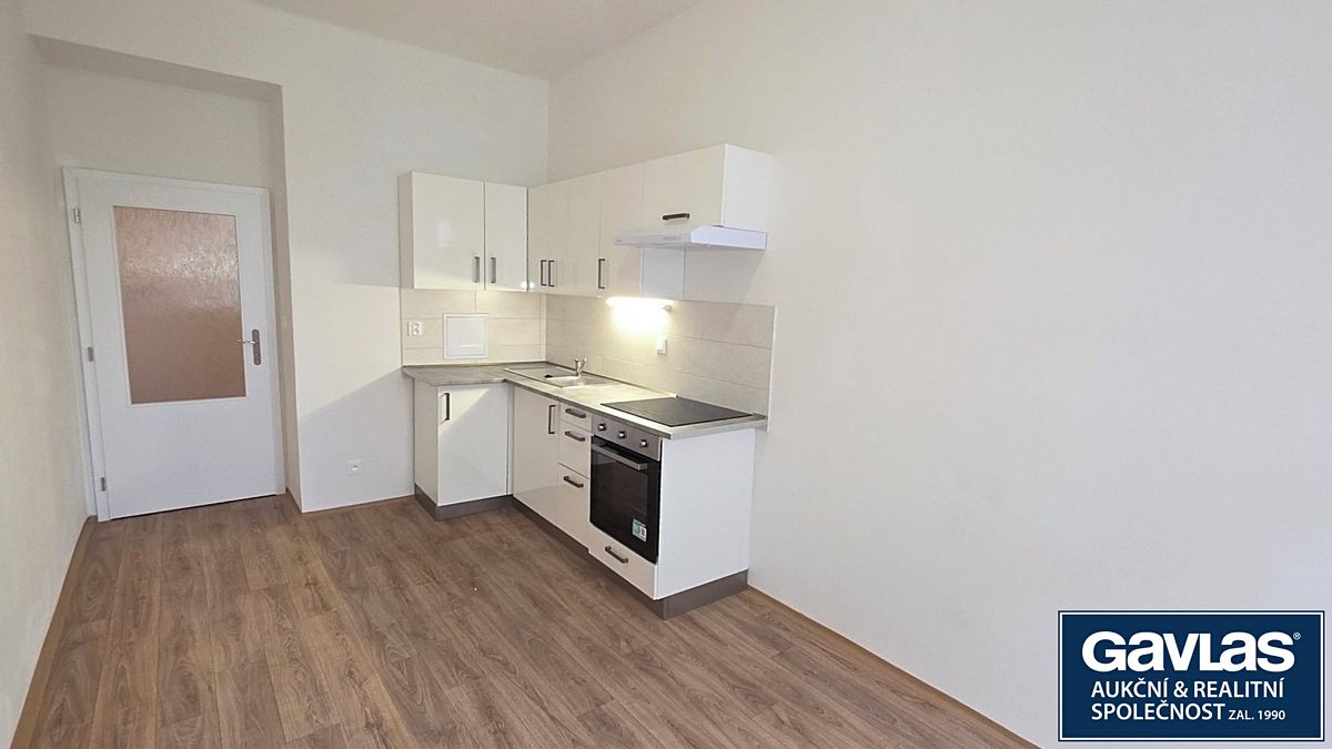 Pronájem bytu 1+1 49 m²