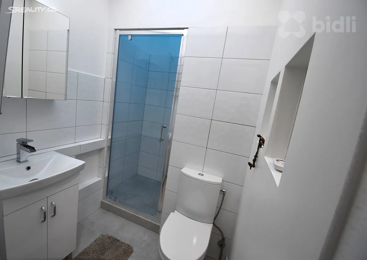 Pronájem bytu 2+kk 40 m² – pohled 3
