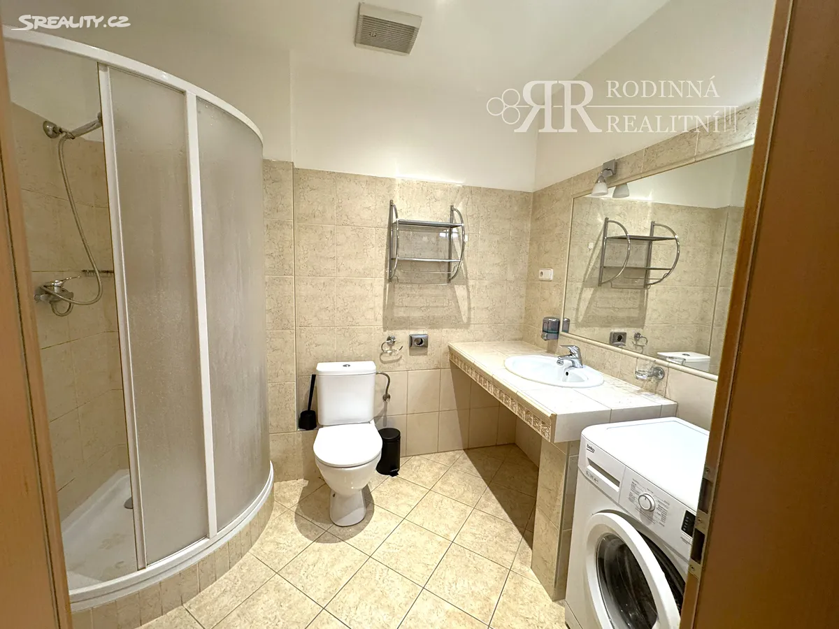 Pronájem bytu 1+kk 40 m² – pohled 4