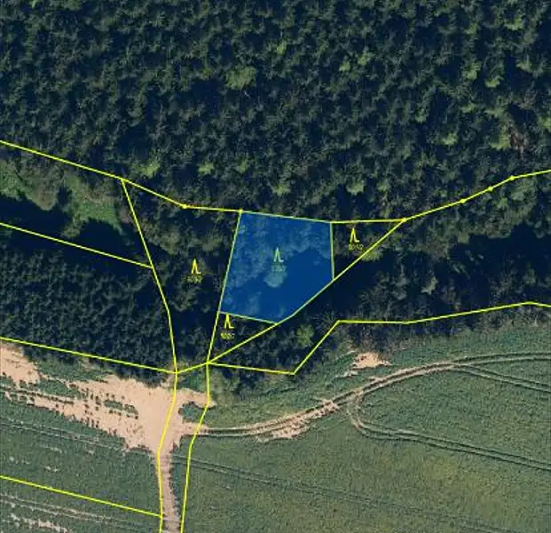 Prodej lesa 985 m², Hojovice – náhled fotky 3