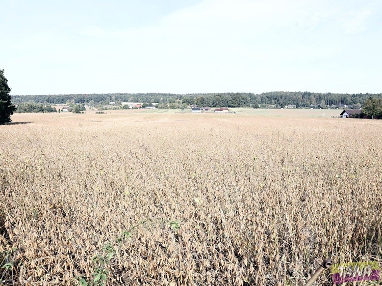 Grundstück zum Kauf, 27.614 m² (5 von 5)