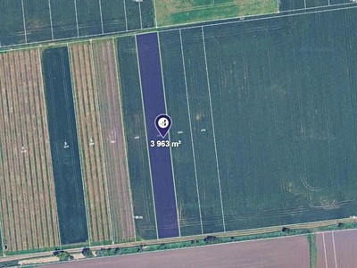 Prodej  pole 3 963 m²