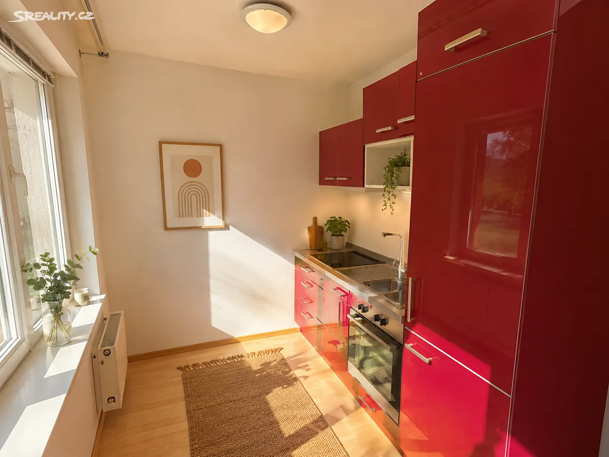 Pronájem bytu 1+kk 30 m², Praha