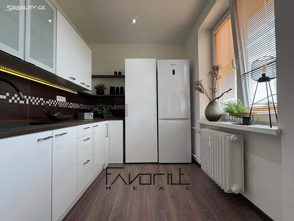 Pronájem bytu 2+1 50 m² – pohled 4
