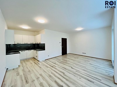 Pronájem bytu 1+kk 37 m²