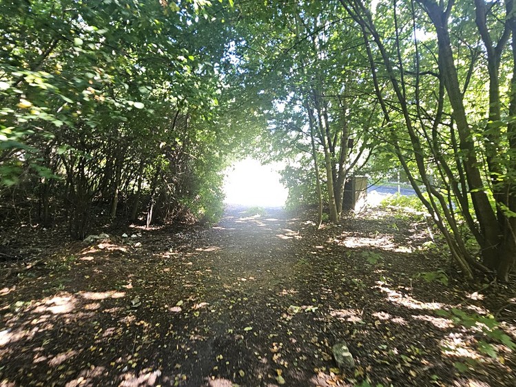 Prodej pozemku, 5 379 m² (14 z 17)