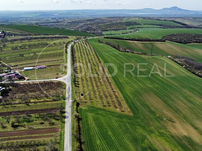 Prodej  pole 24 643 m²