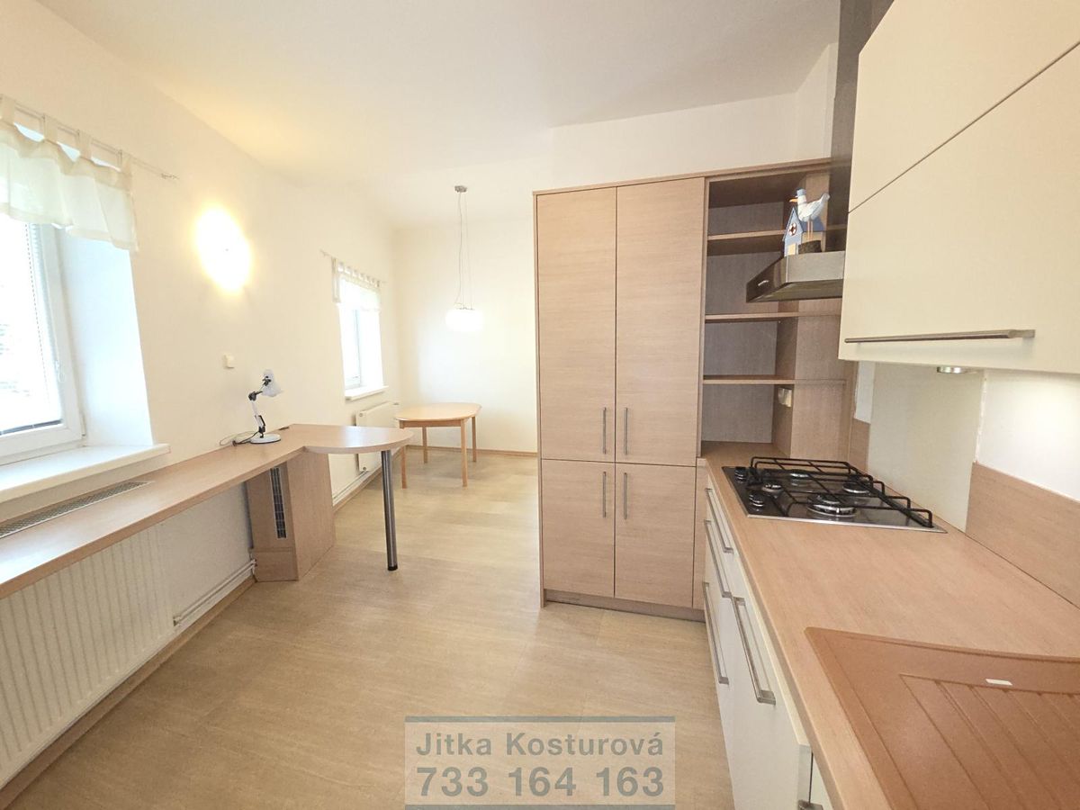 Prodej bytu 4+1 197 m² – fotografie 3