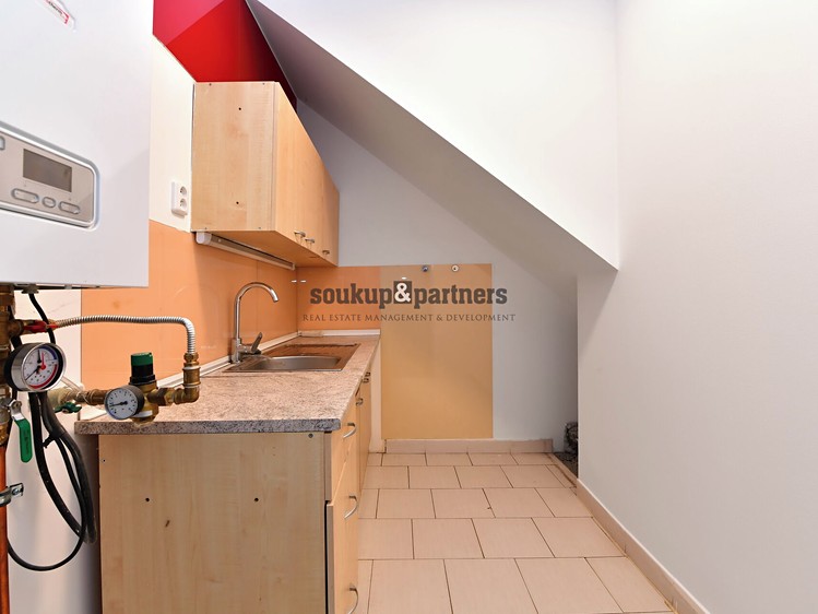Prodej domu, 250 m² (9 z 21)