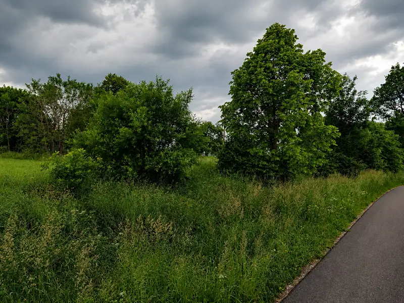 Prodej pozemku 8002 m², Volary – náhled fotky 2