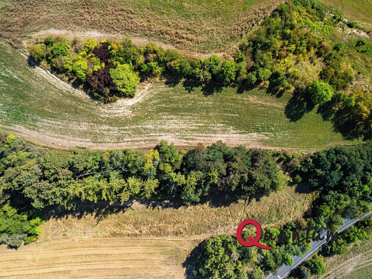Ділянка на продаж, 16 339 м² (29 з 56)
