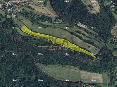 Prodej  louky 30 391 m²