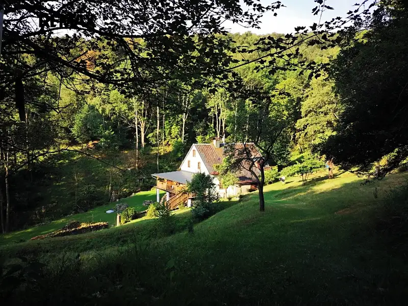 Prodej chalupy 300 m², pozemek 4419 m², Stráž nad Ohří – náhled fotky 1