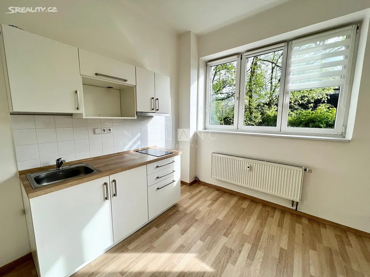 Pronájem bytu 1+kk 35 m² – pohled 2