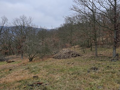 Prodej pozemku, 13 913 m² (3 z 9)