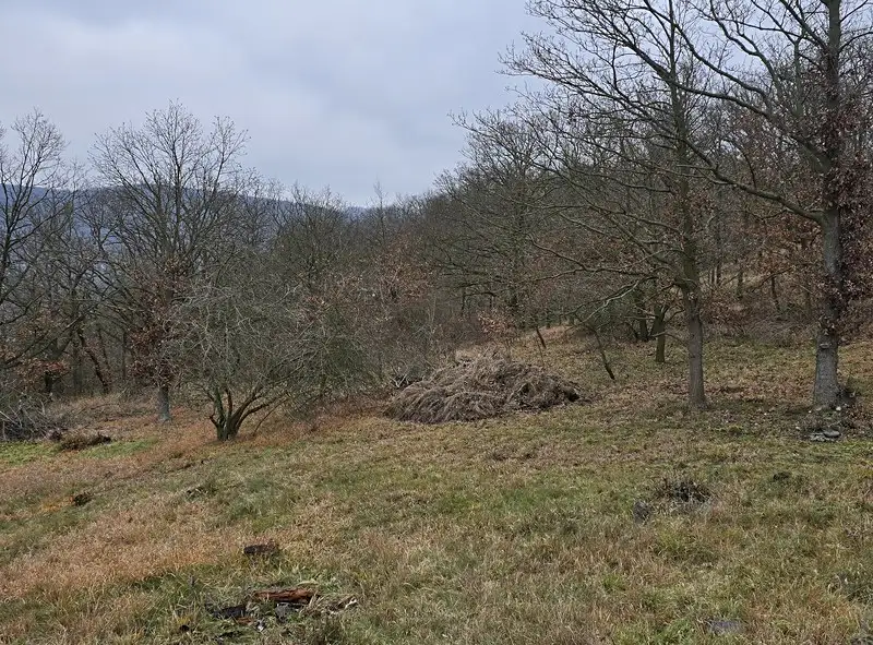 Prodej lesa 13913 m², Ústí nad Labem – náhled fotky 3